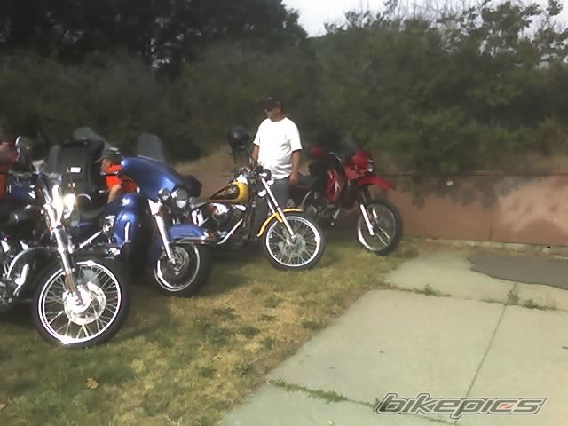 Photo 1172665
