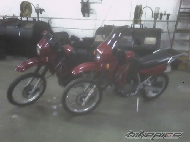 Photo 1172673