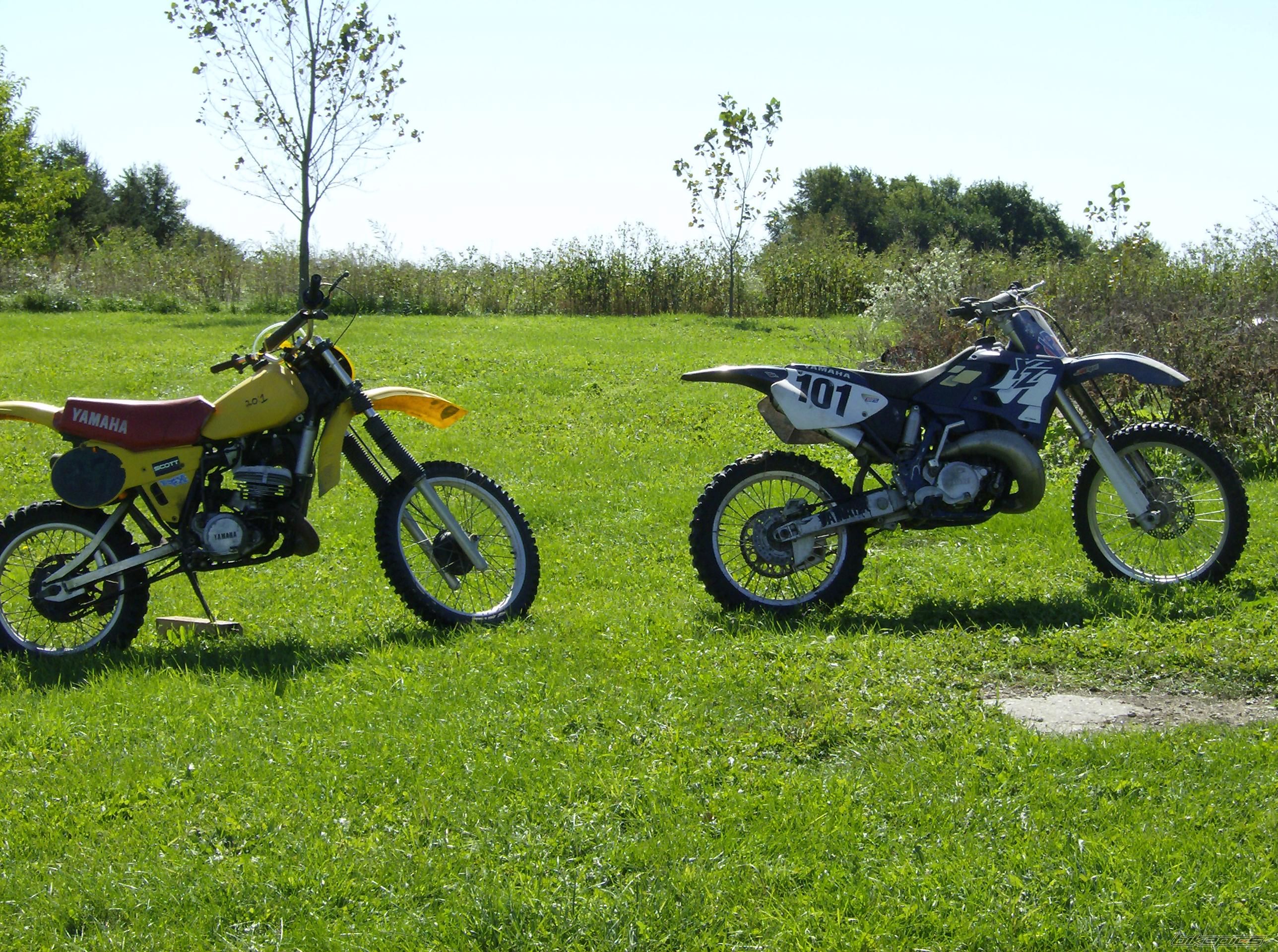 Photo 1172706