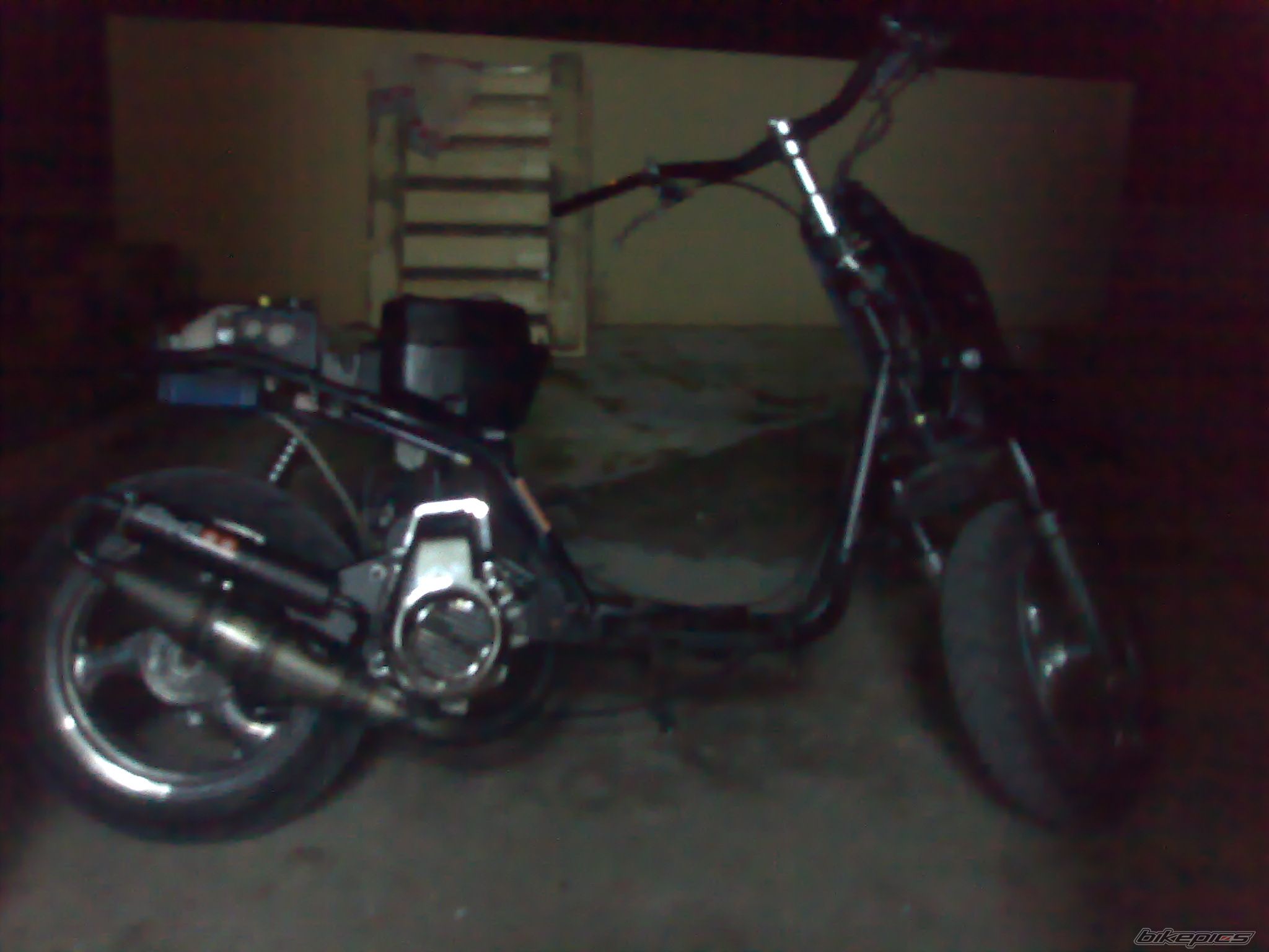 Photo 1172710