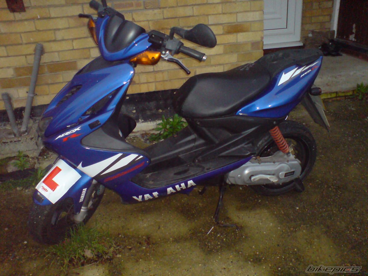 Photo 1172846