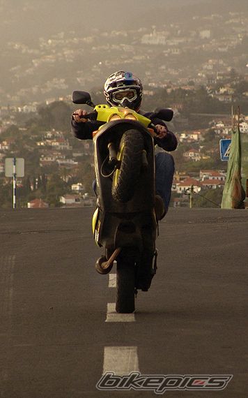 Photo 1172854