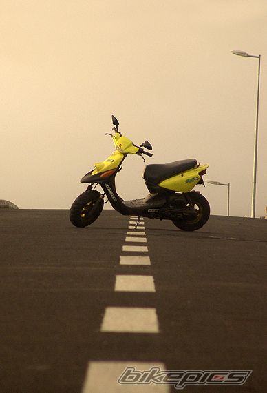 Photo 1172855