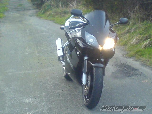 Photo 1172891