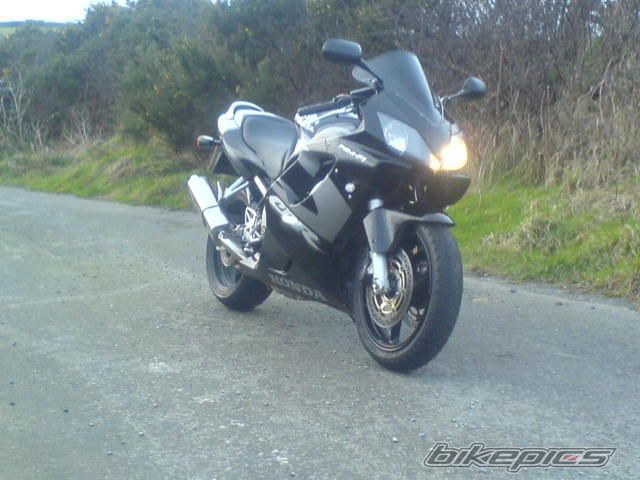 Photo 1172894