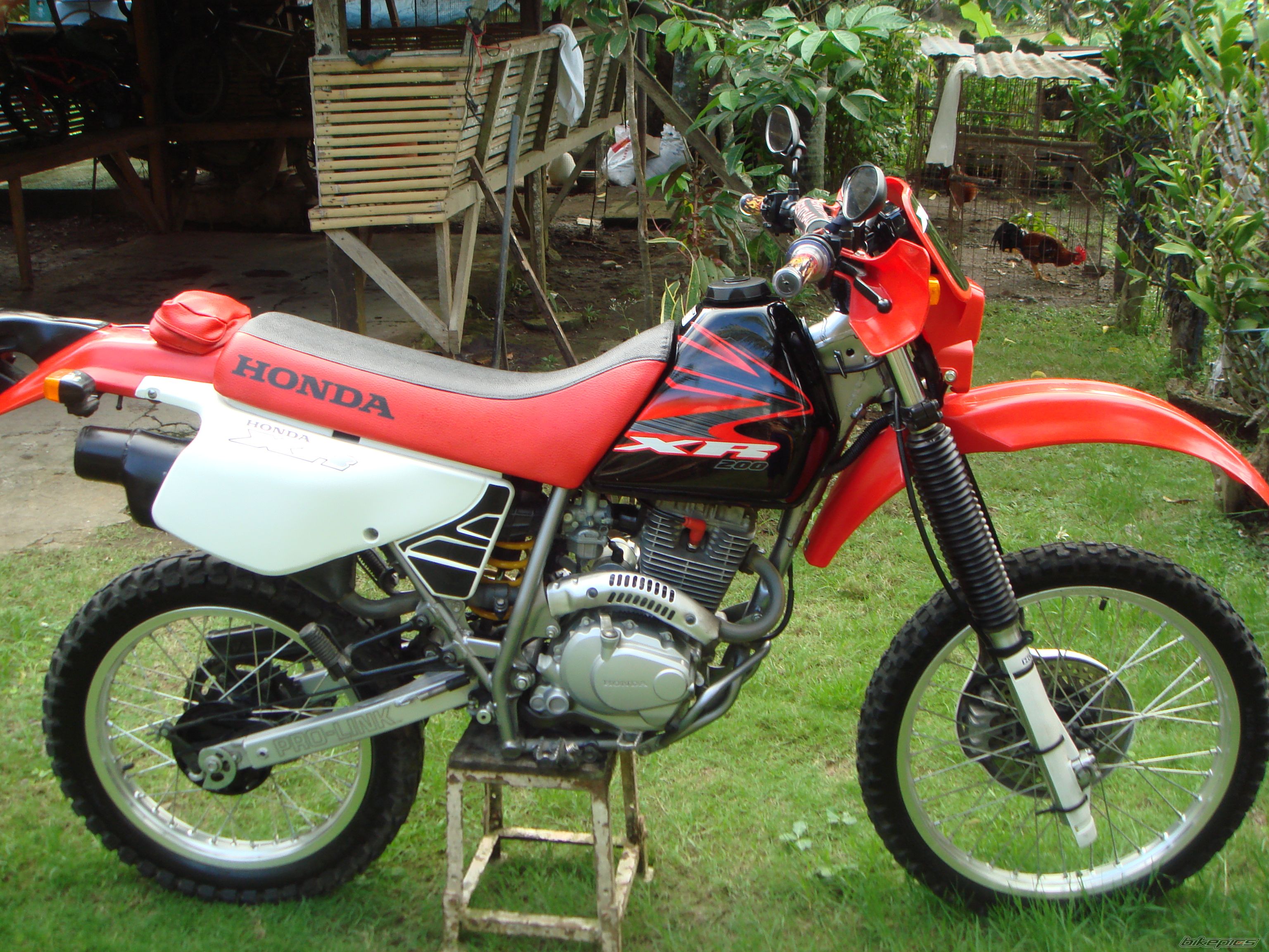 Photo 1172951