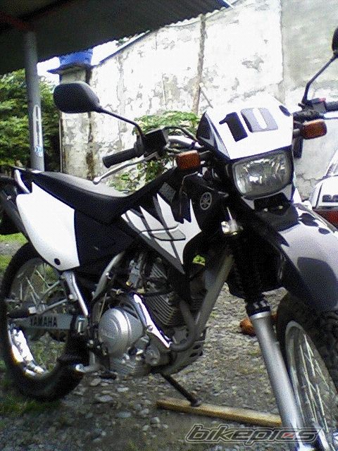Photo 1172985