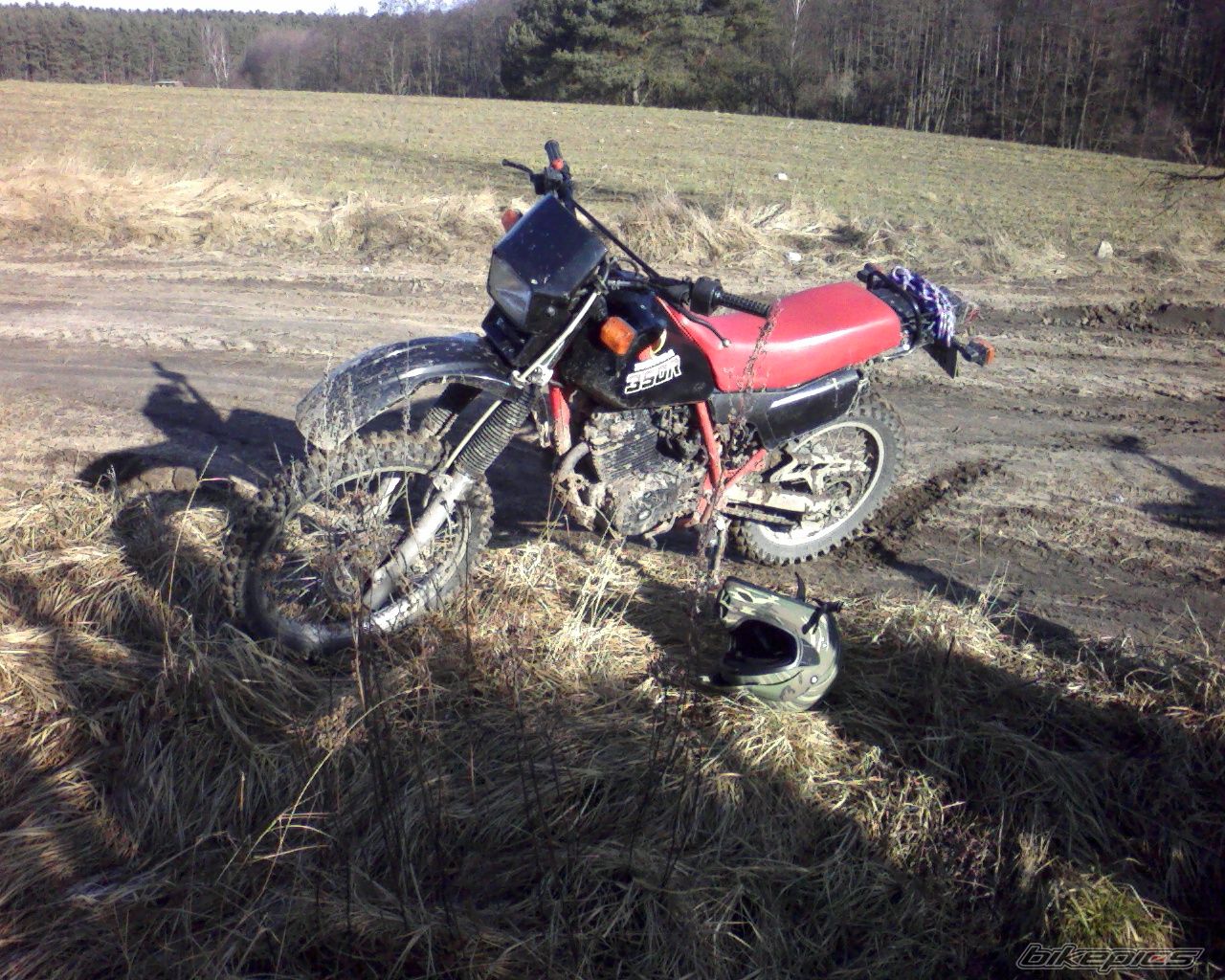 Photo 1172995