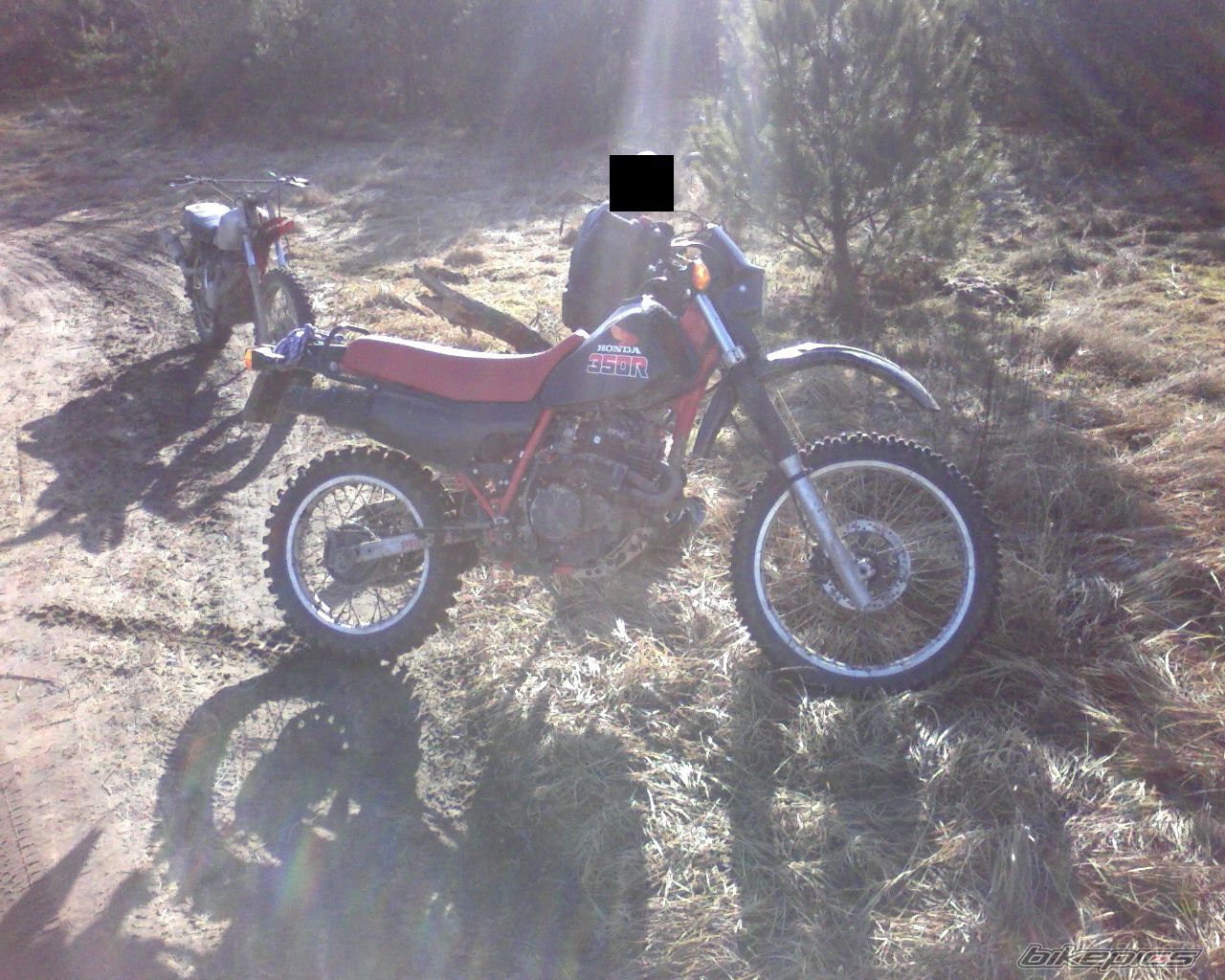 Bike Photo 1172998