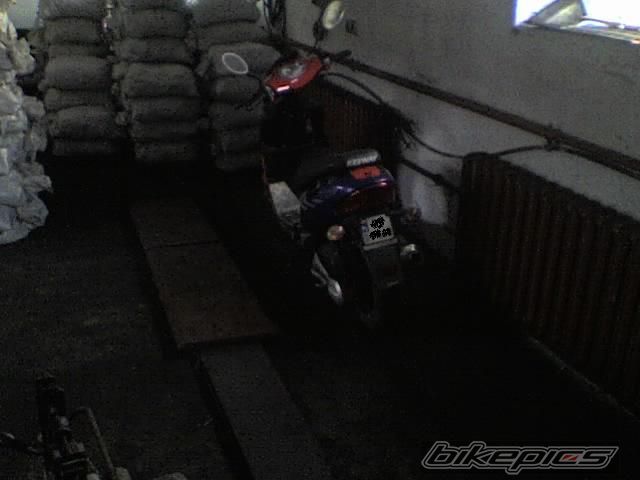Photo 1173042