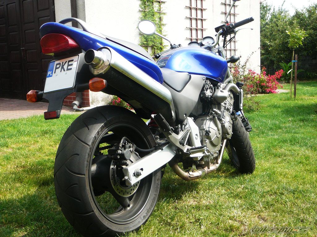 Photo 1173087