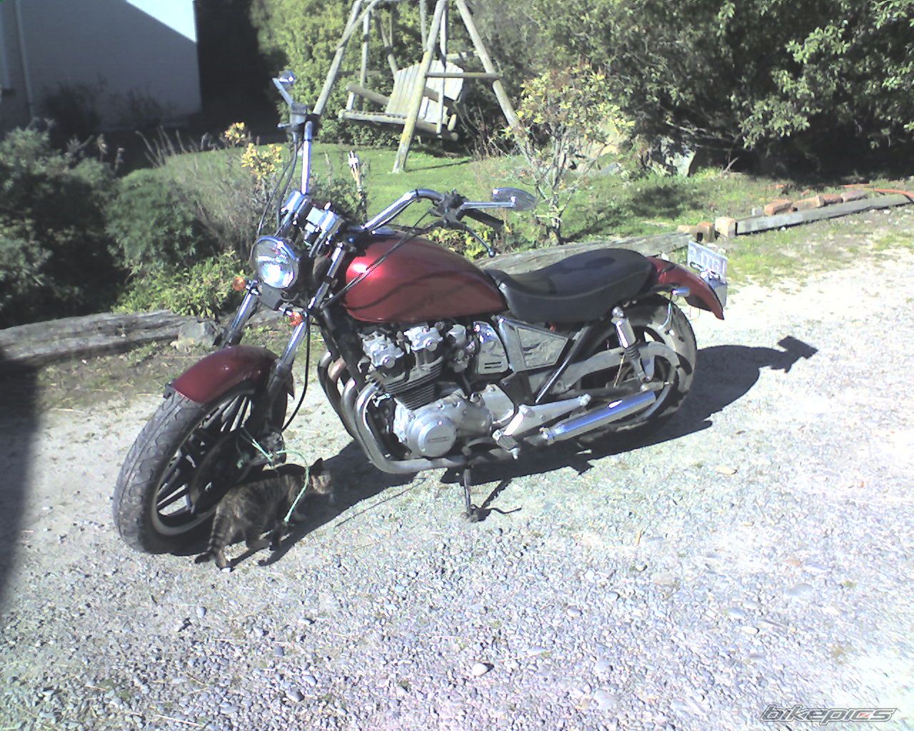 Bike Photo 1173098