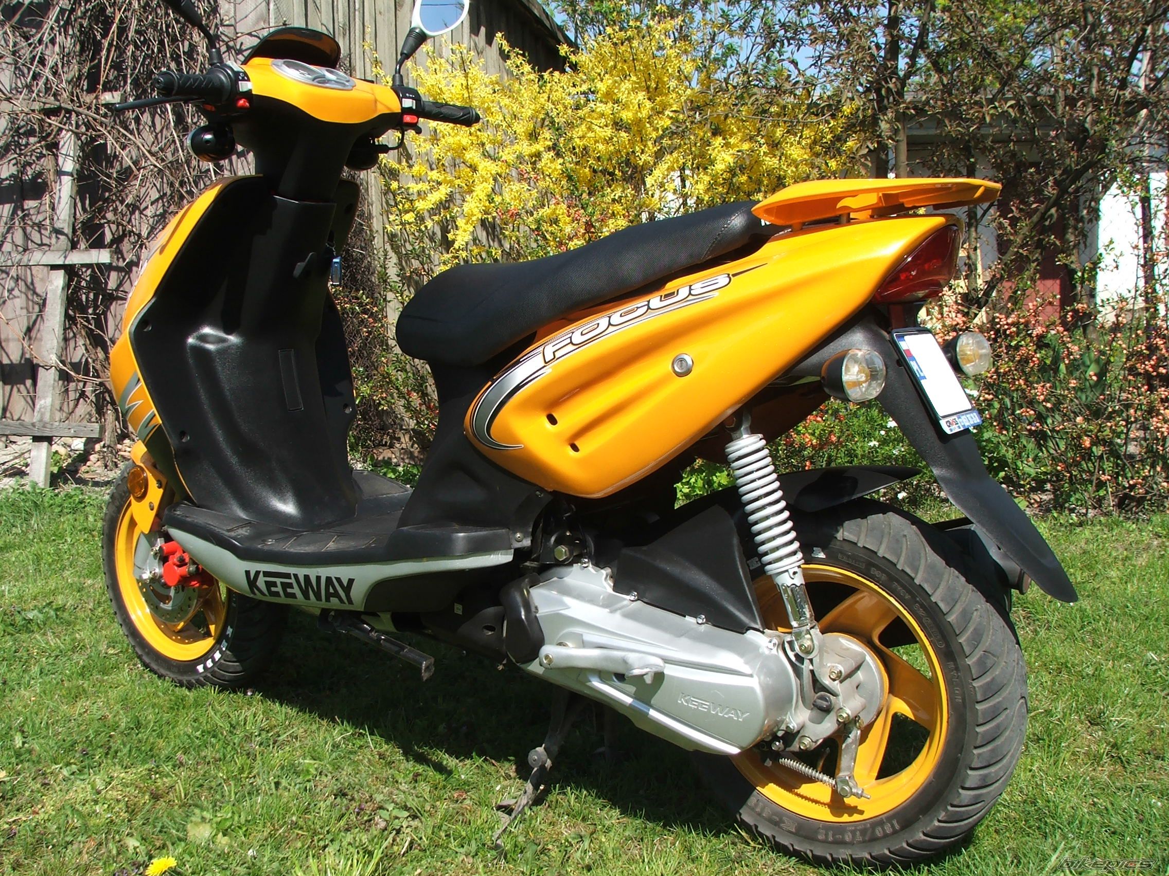 Photo 1173173