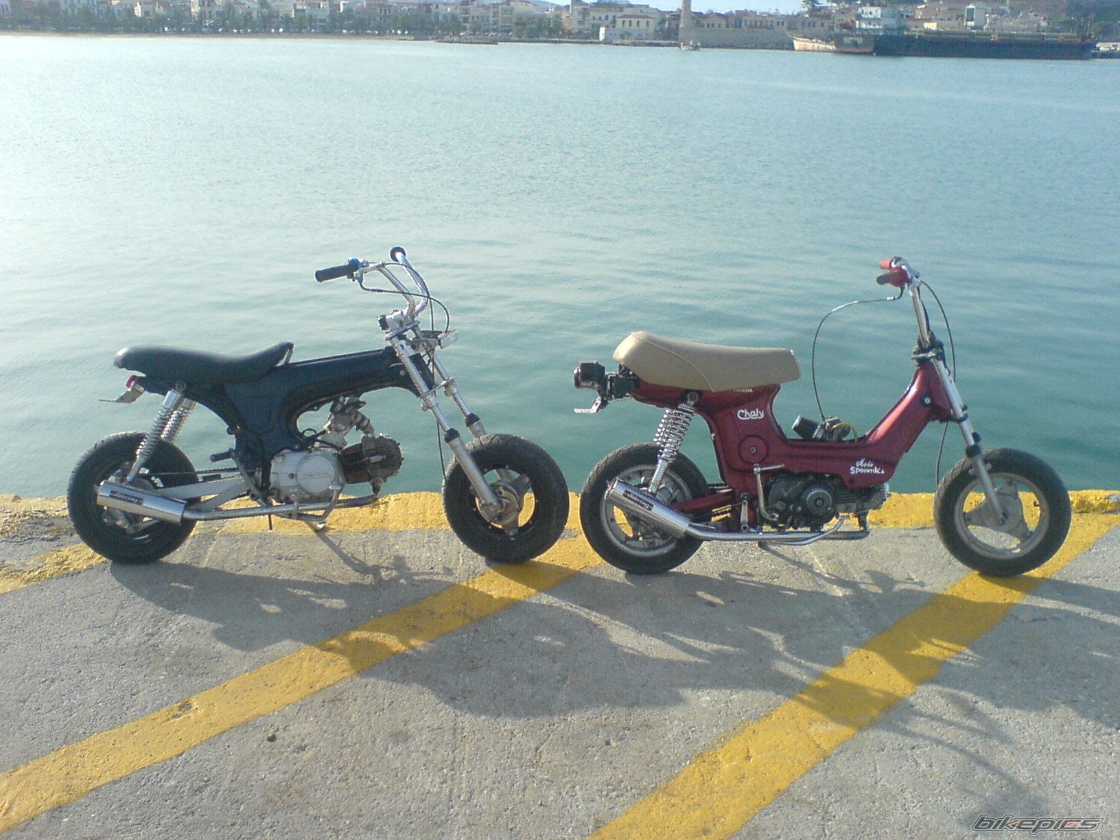 Photo 1173293