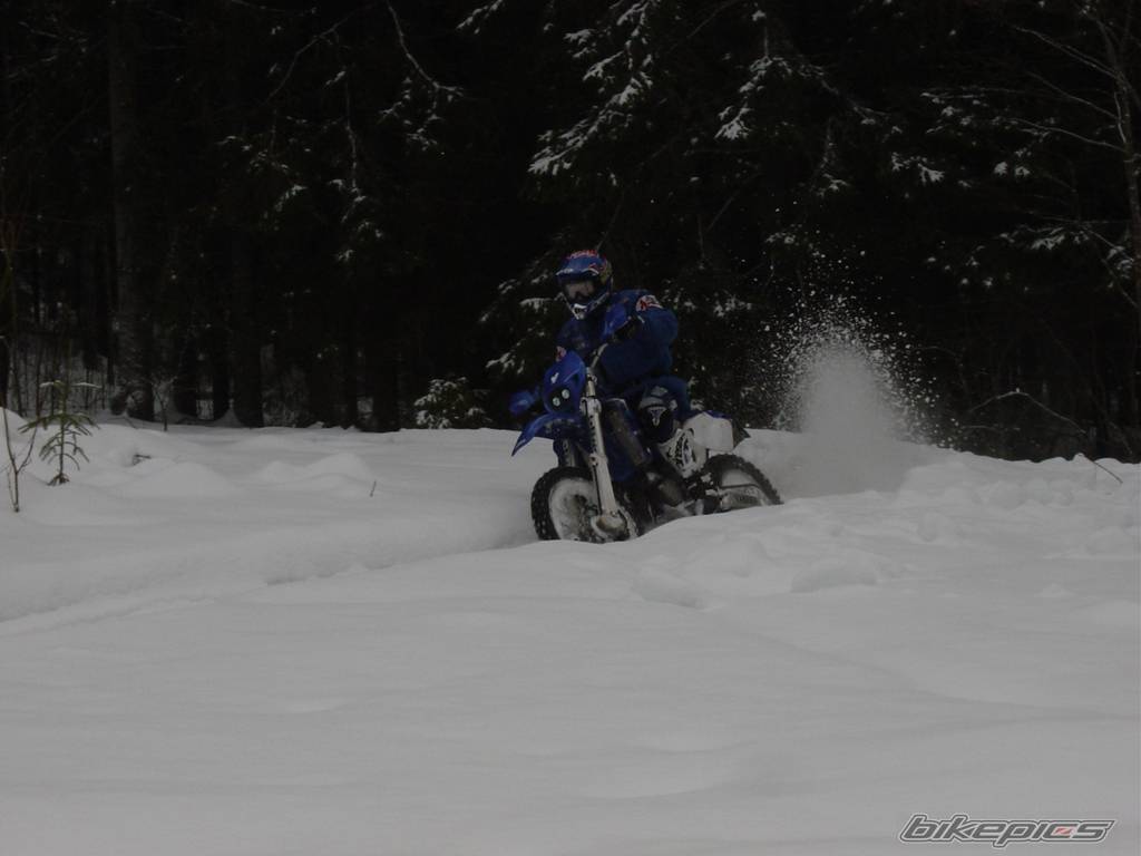 Bike Photo 117352