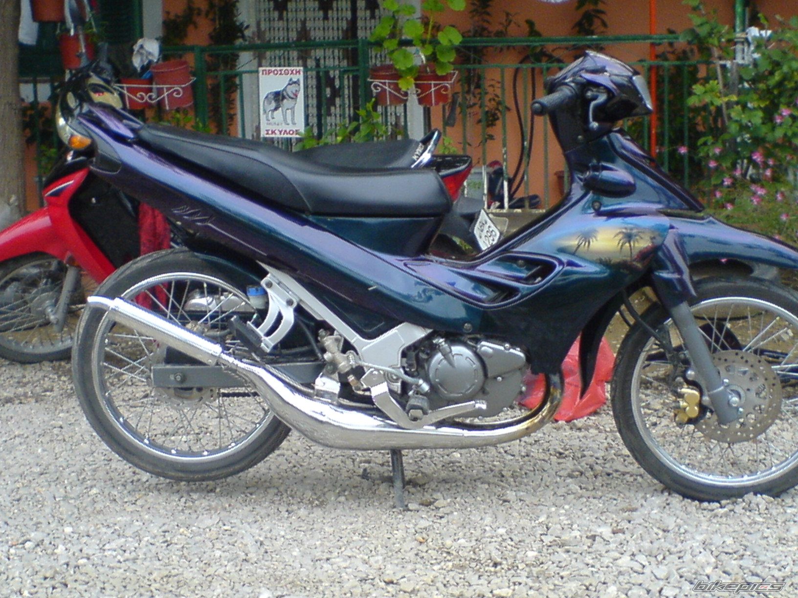 Photo 1173541