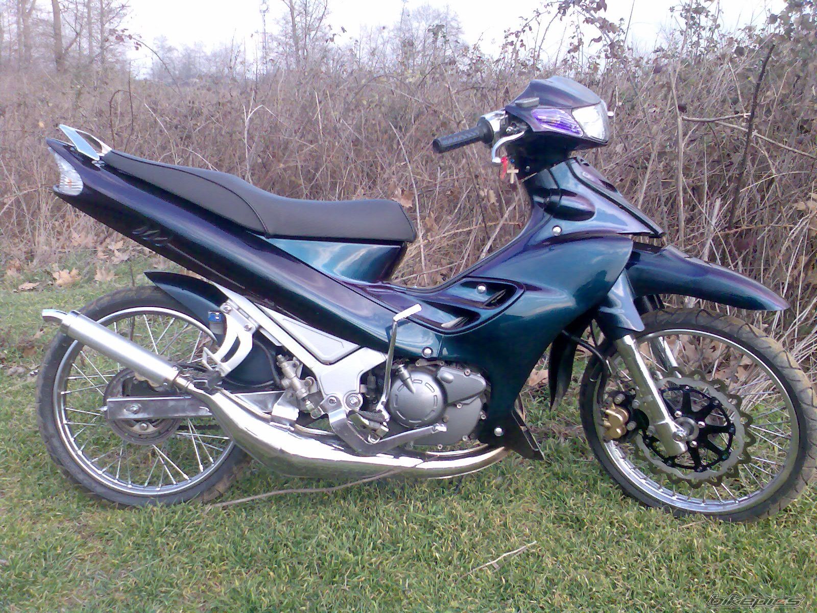 Photo 1173560