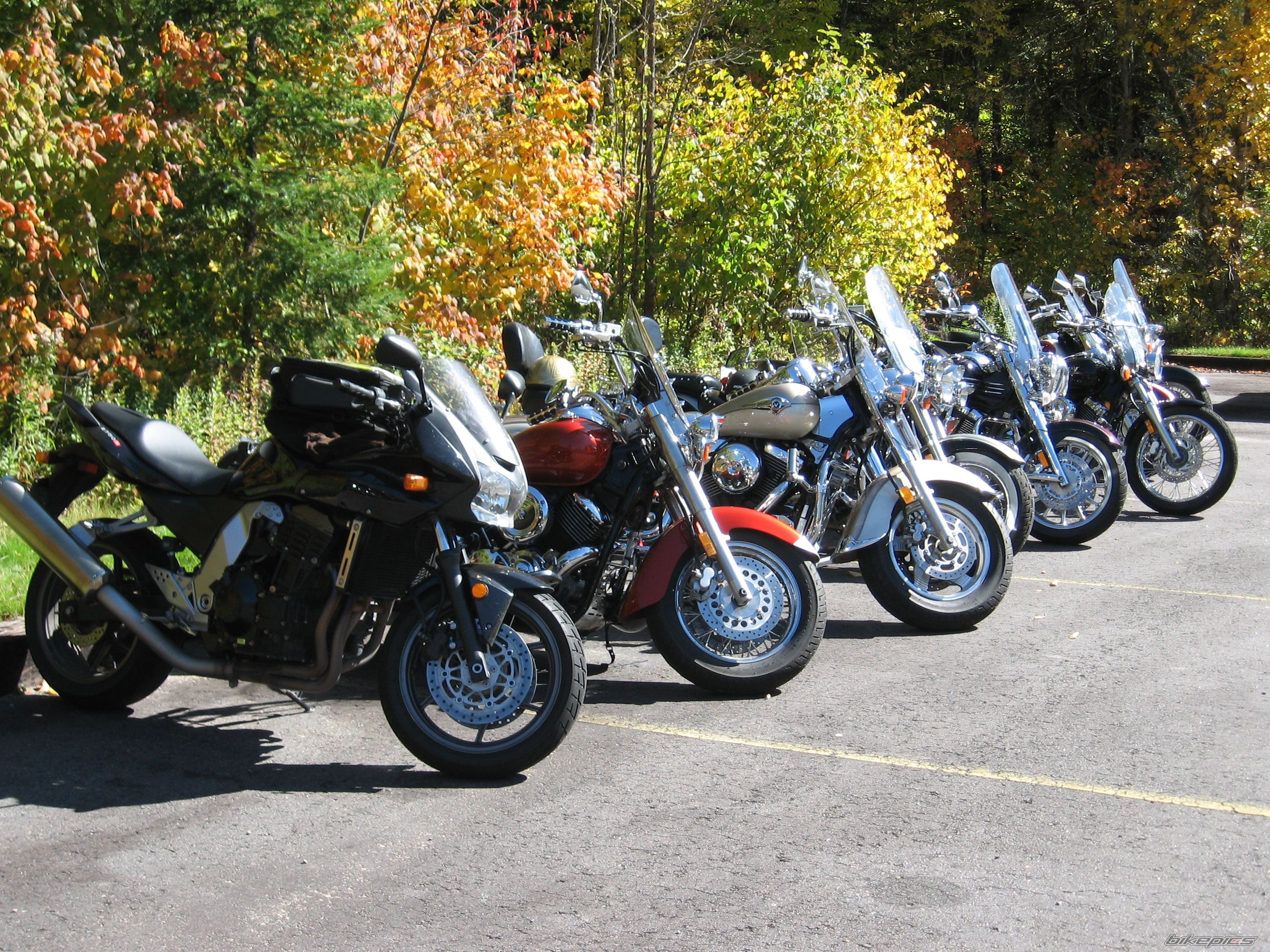 Bike Photo 1173564