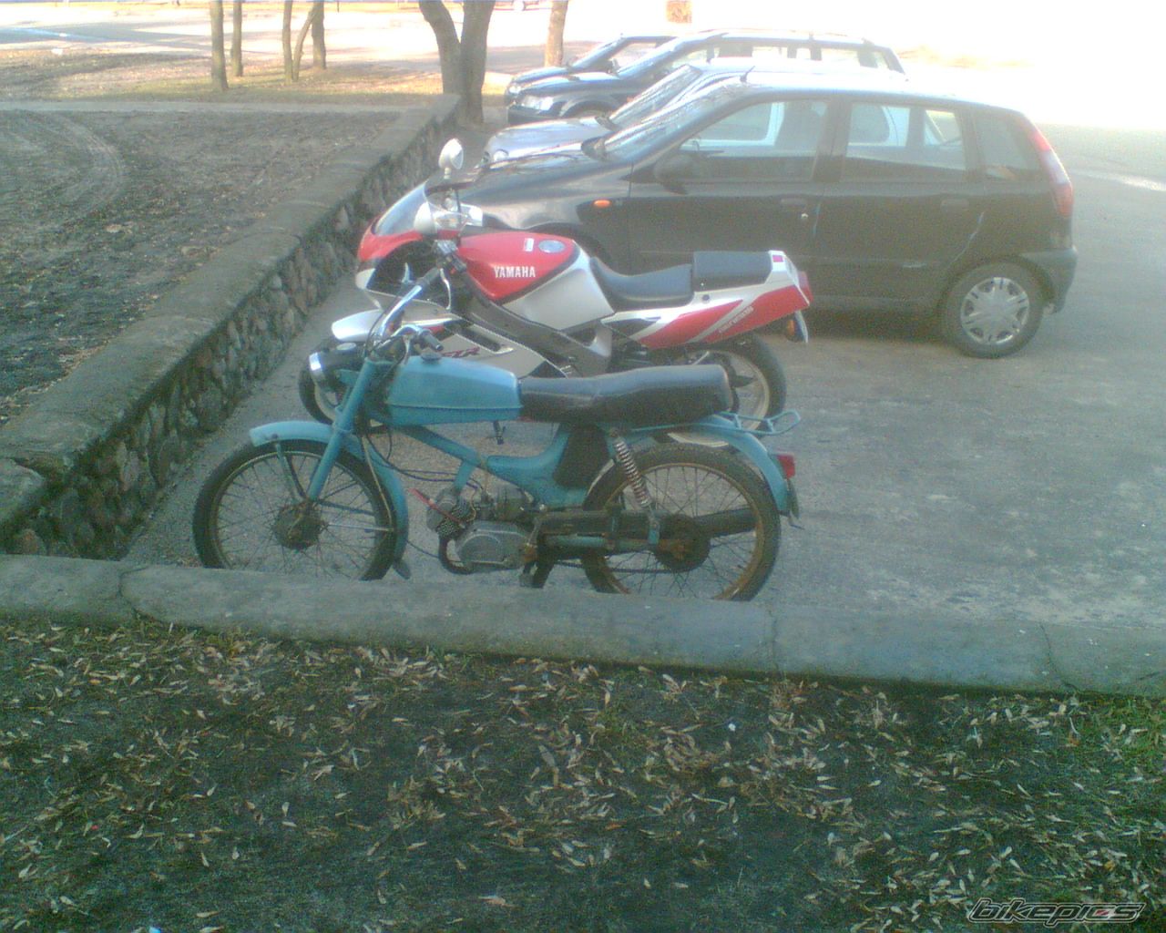 Photo 1173599