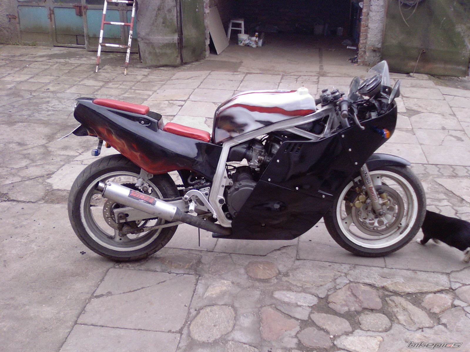Photo 1173661