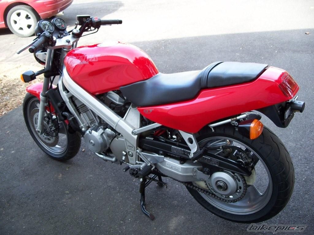 Photo 1173678