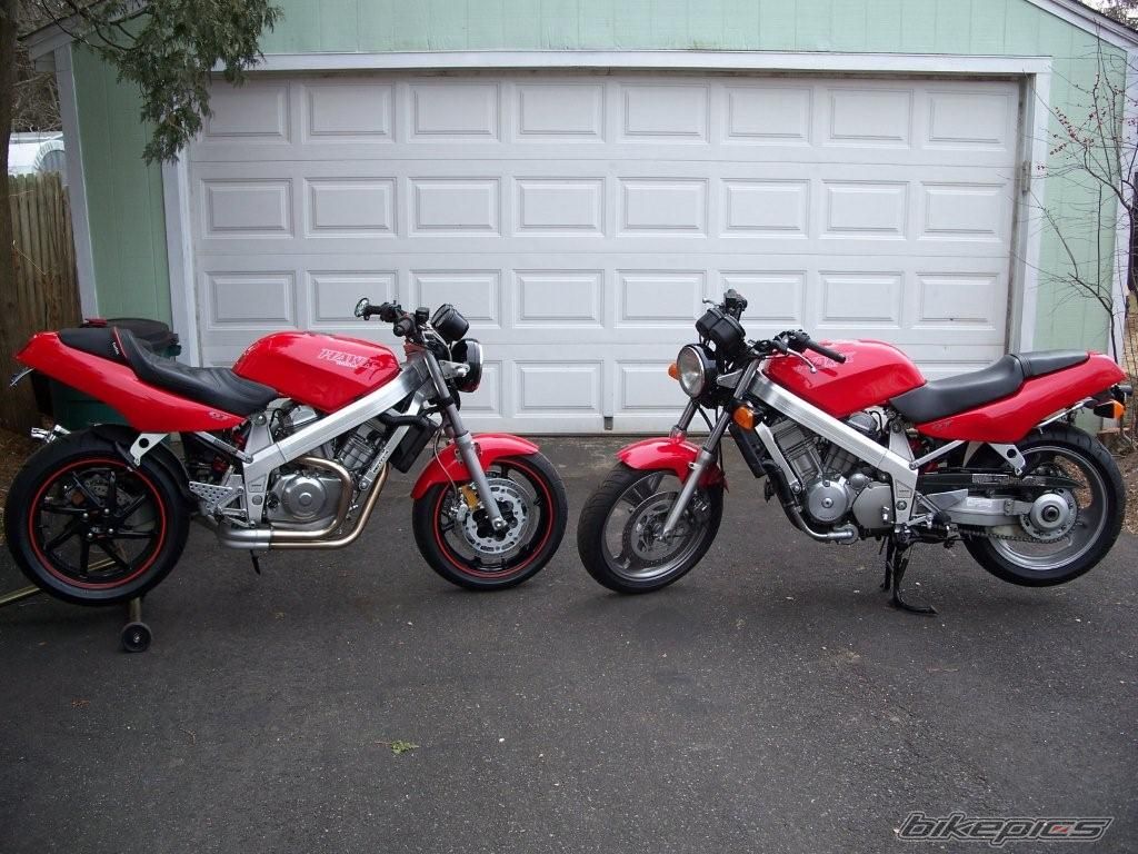Photo 1173688