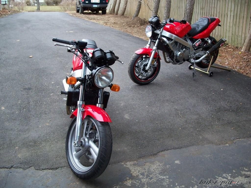 Photo 1173689