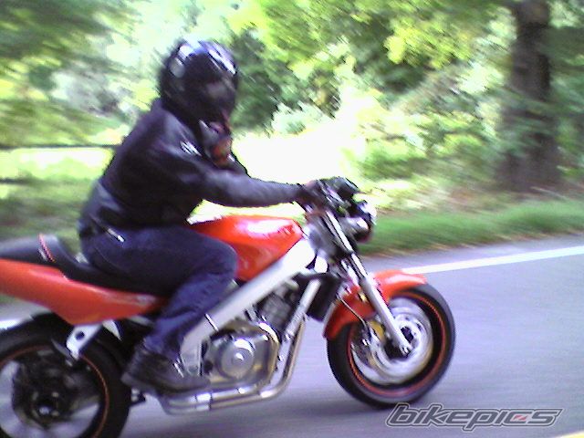 Photo 1173690