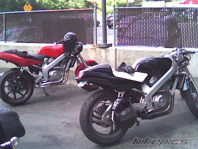 Photo 1173691