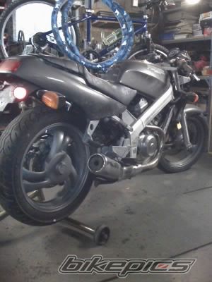 Photo 1173703
