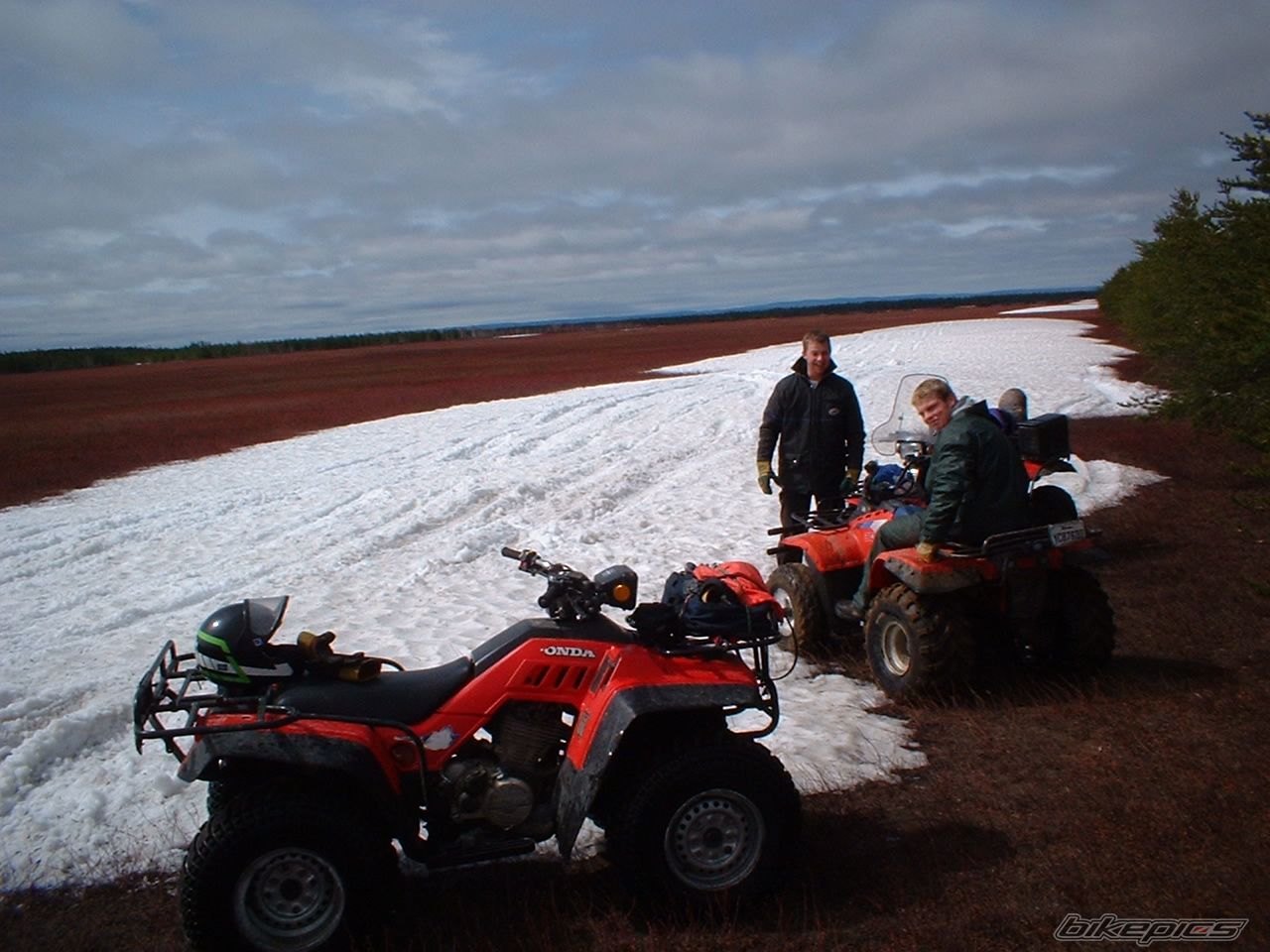 Photo 1173706