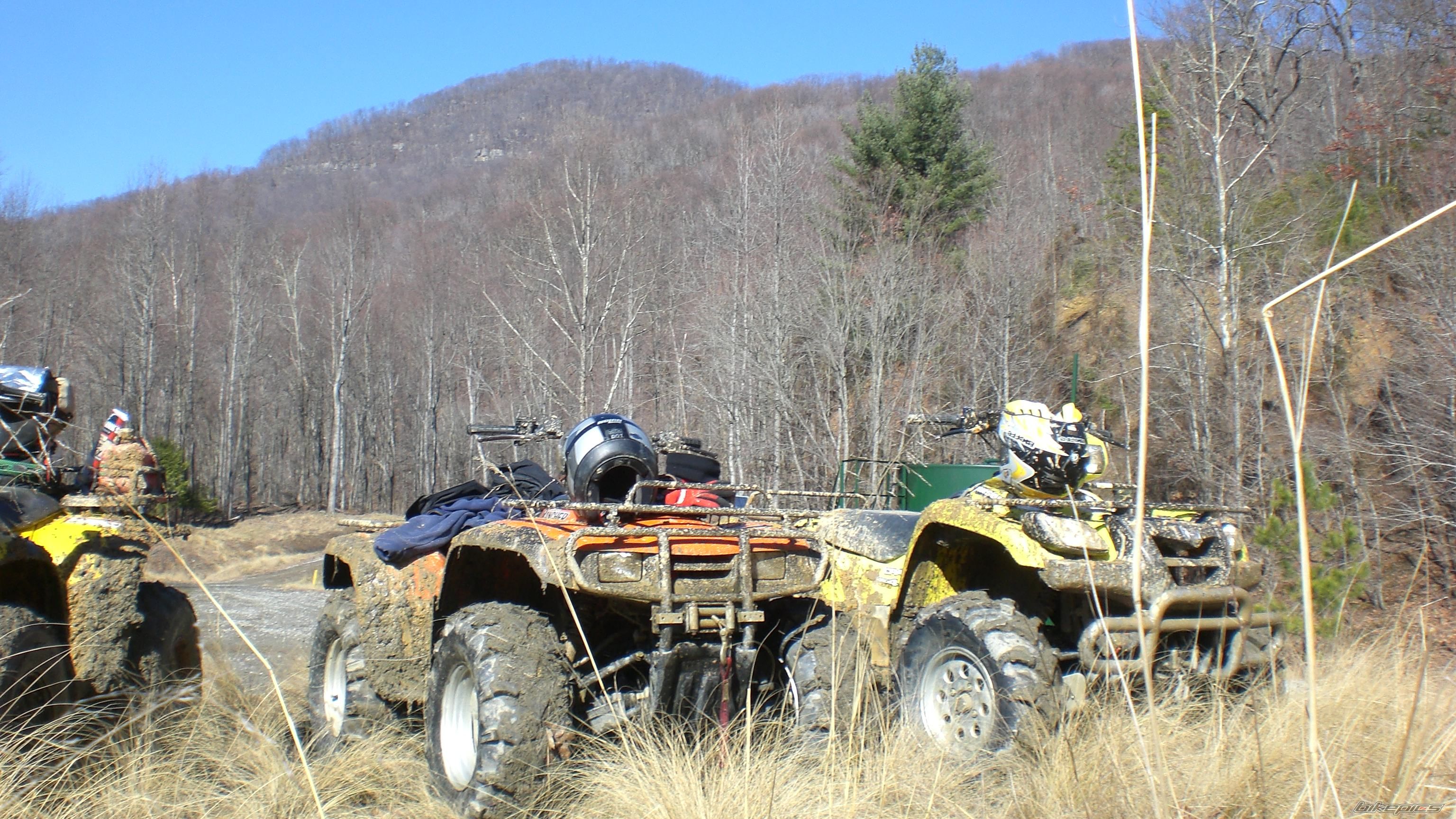 Photo 1173738