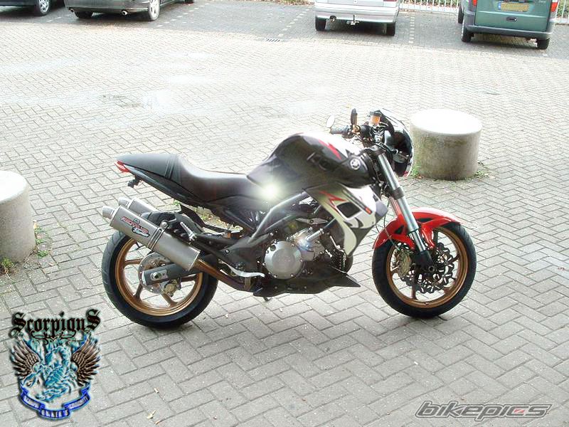 Bike Photo 1173752