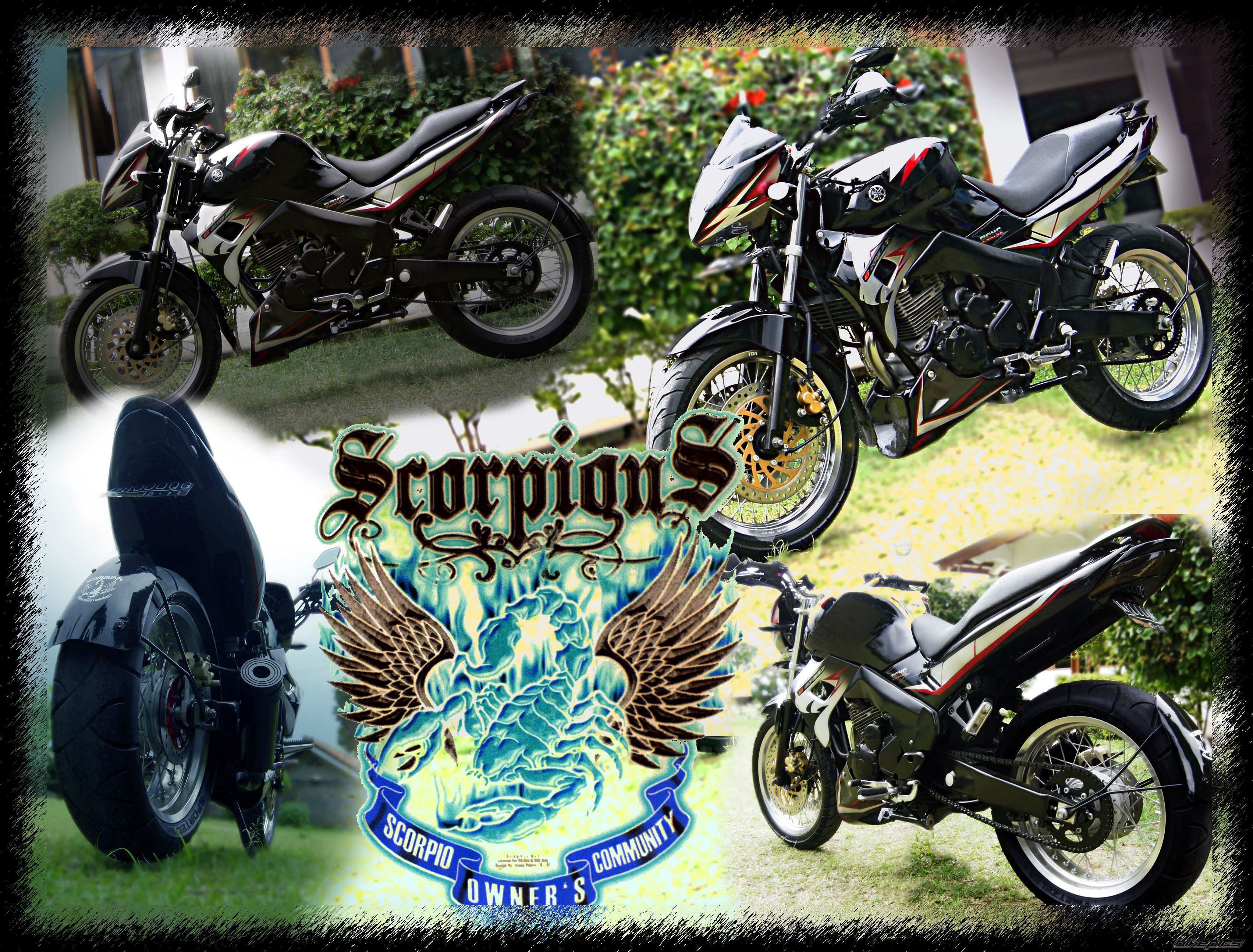Bike Photo 1173753