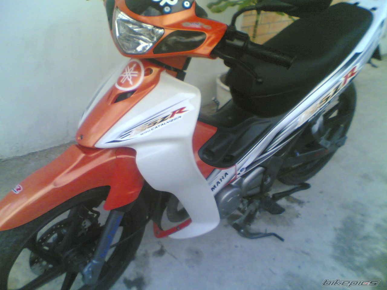 Photo 1173806