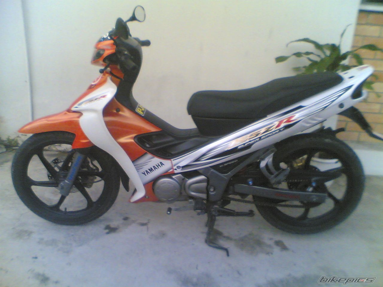 Photo 1173808