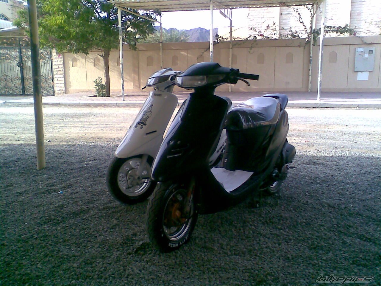 Photo 1173858