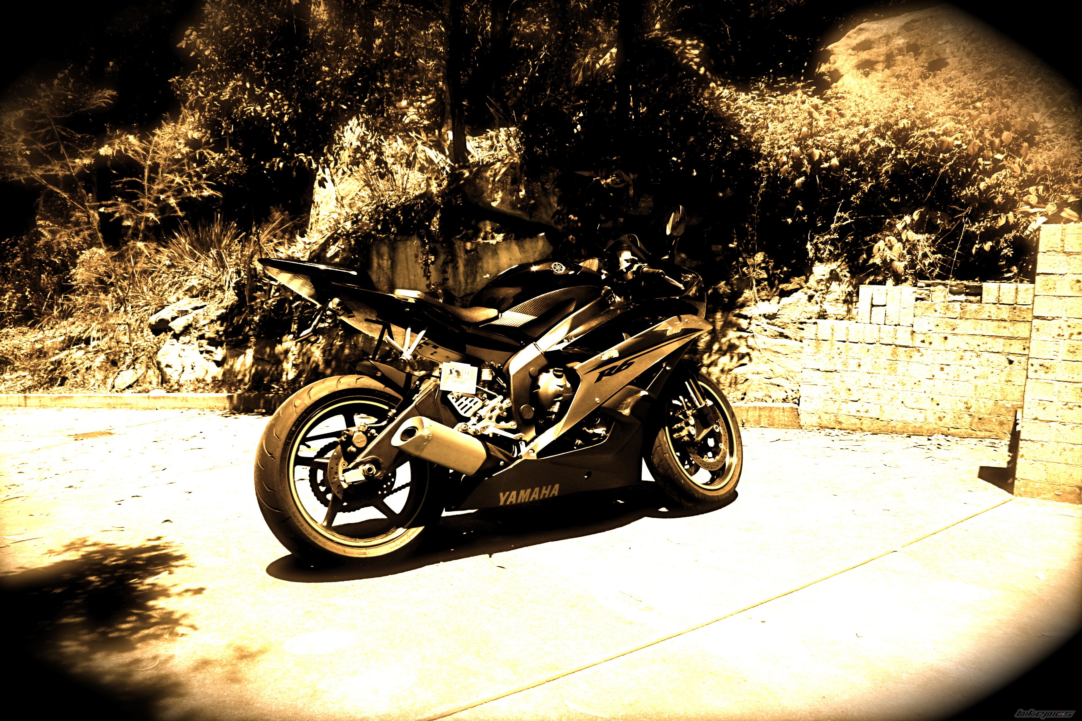Bike Photo 1173866