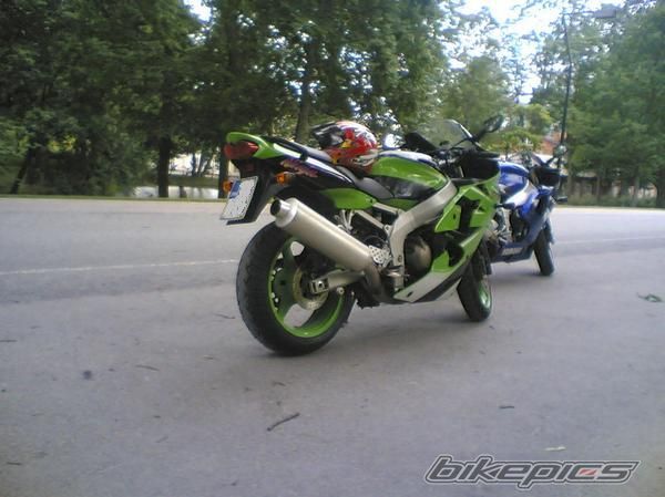 Photo 1173934