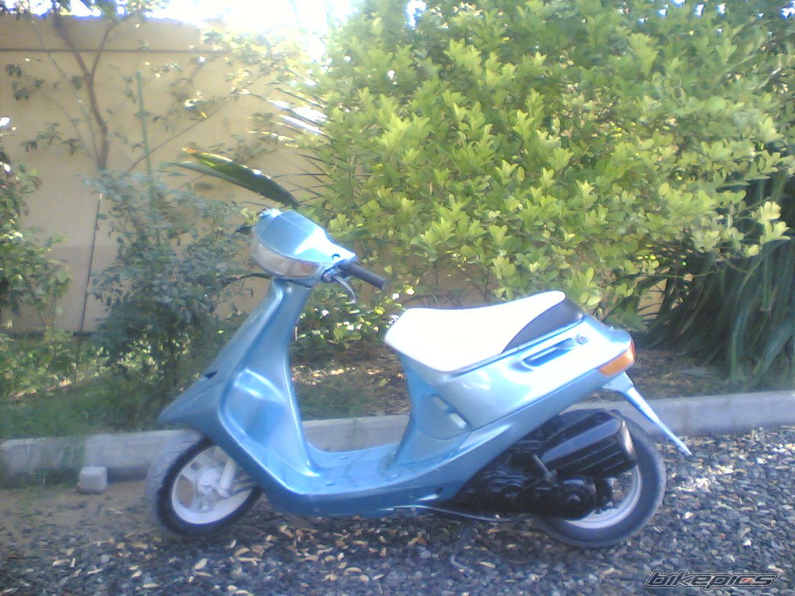 Photo 1173965