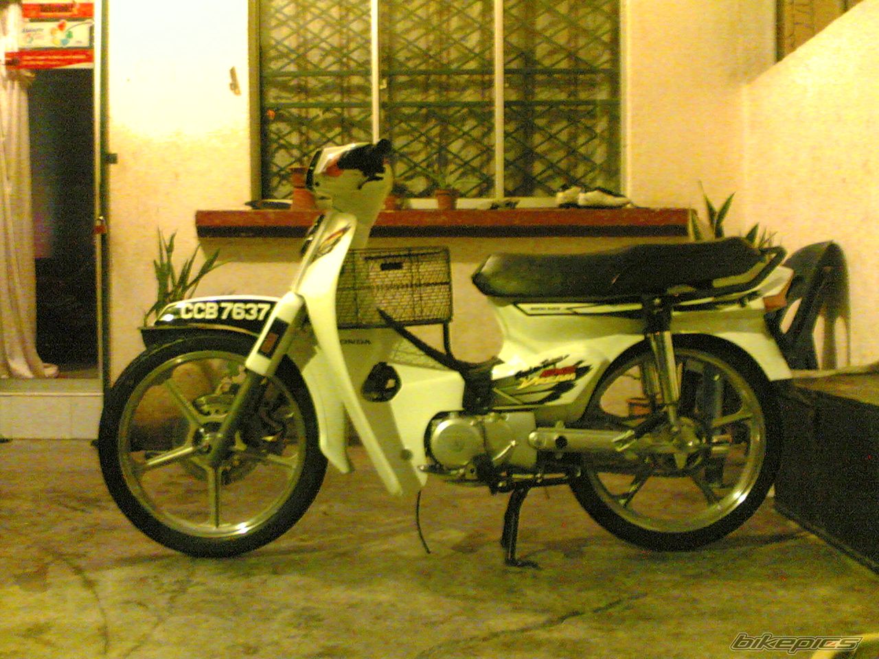 Photo 1174081