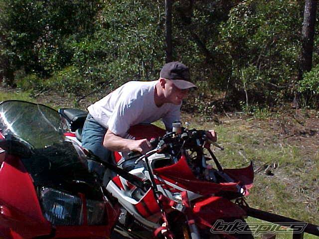 Photo 11742