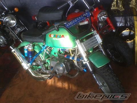 Photo 1174253