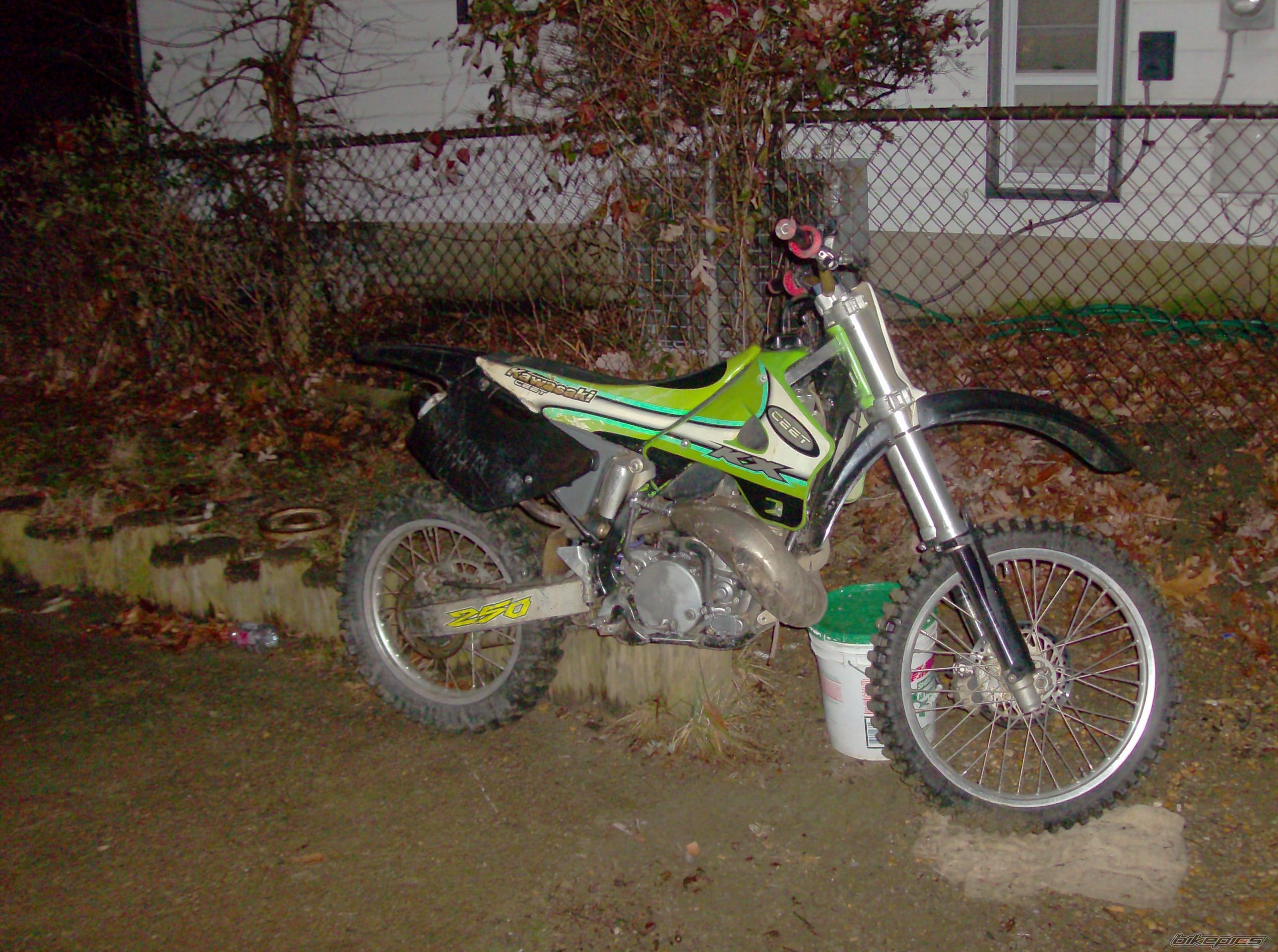 Photo 1174291