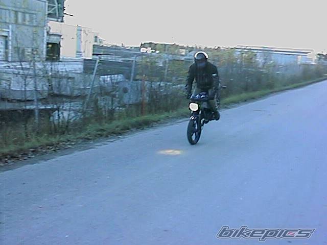 Photo 11743