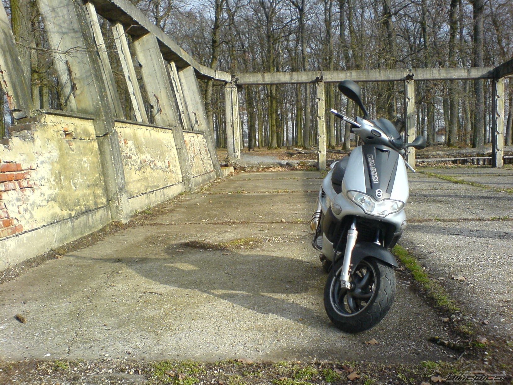 Photo 1174301