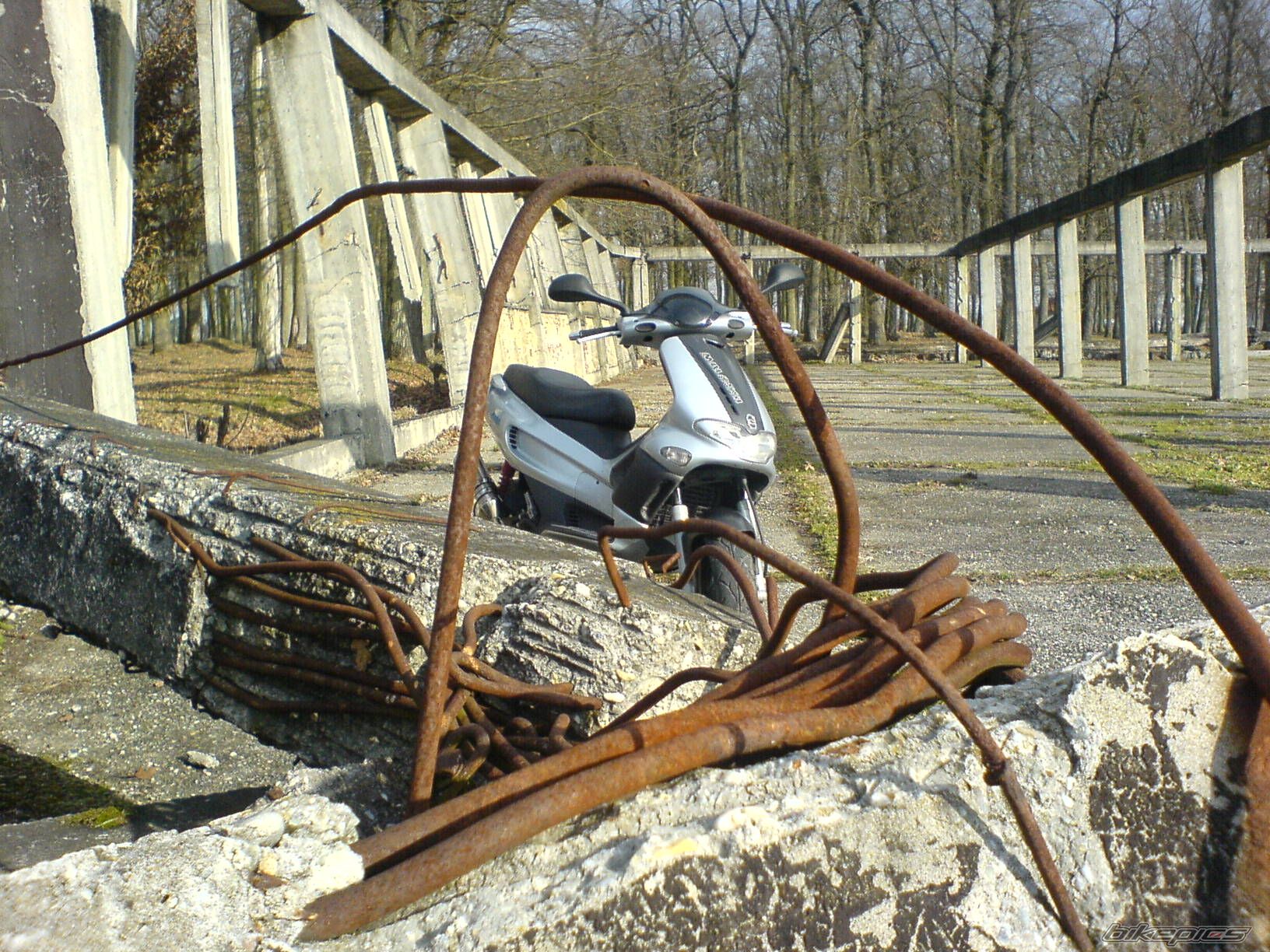 Photo 1174303