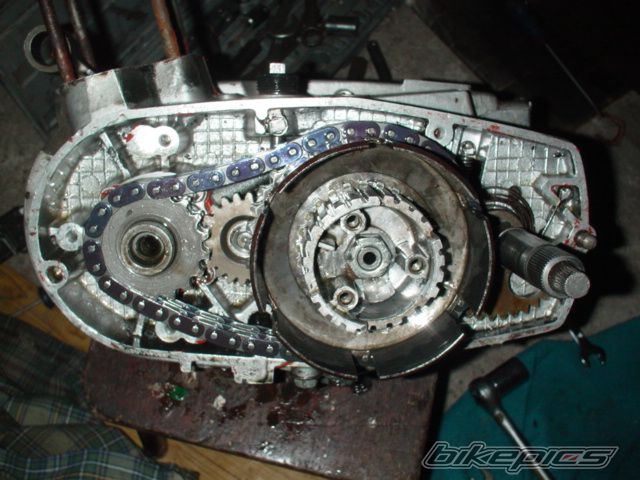 Photo 1174308