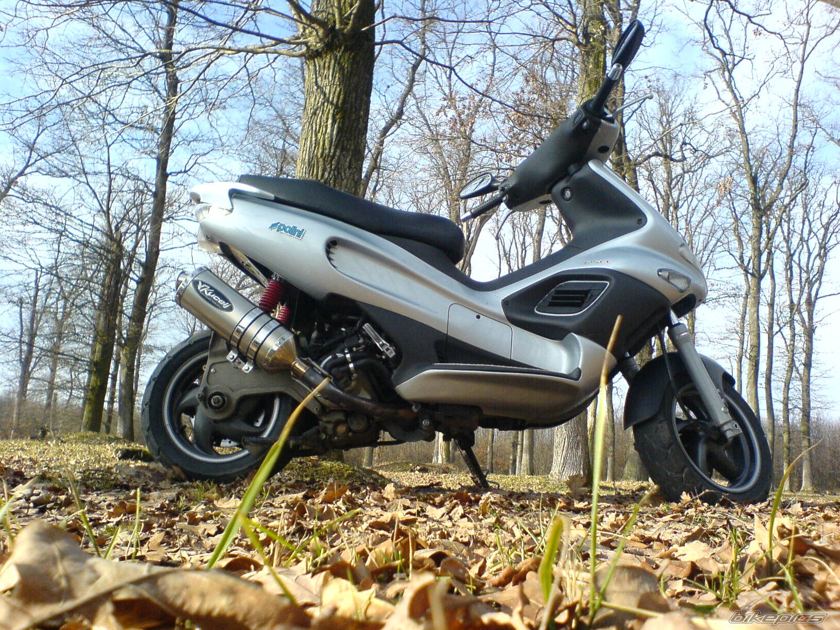 Photo 1174309