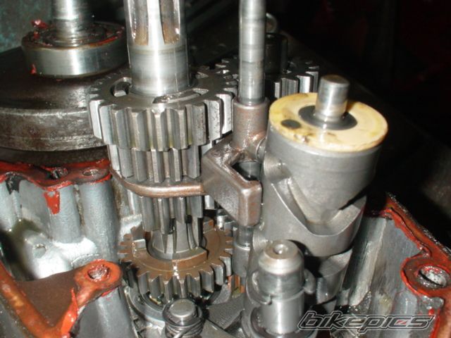 Photo 1174318